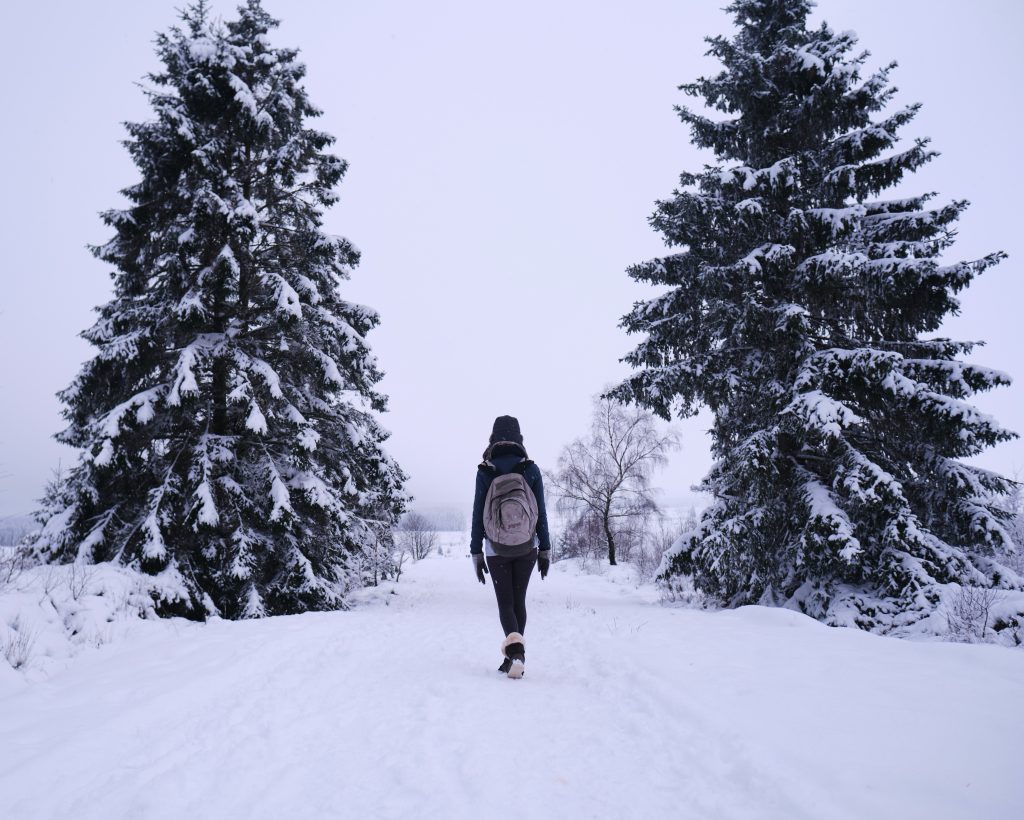 冬のイメージ画像